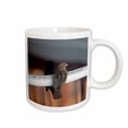 thumbnail image 1 of 3drose, Alert Sparrow on a Glass Window with Shadow of Little Bird, 15oz Mug, 1 of 6