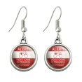 thumbnail image 1 of Alert Video Game In Progress Unauthorized Entry Eliminated Novelty Dangling Drop Charm Earrings, 1 of 5
