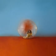 Alessia Cara - In The Meantime - Music & Performance - CD