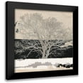 thumbnail image 1 of Alessio, Aprile 12x12 Black Modern Framed Museum Art Print Titled - Silver Tree (detail), 1 of 5