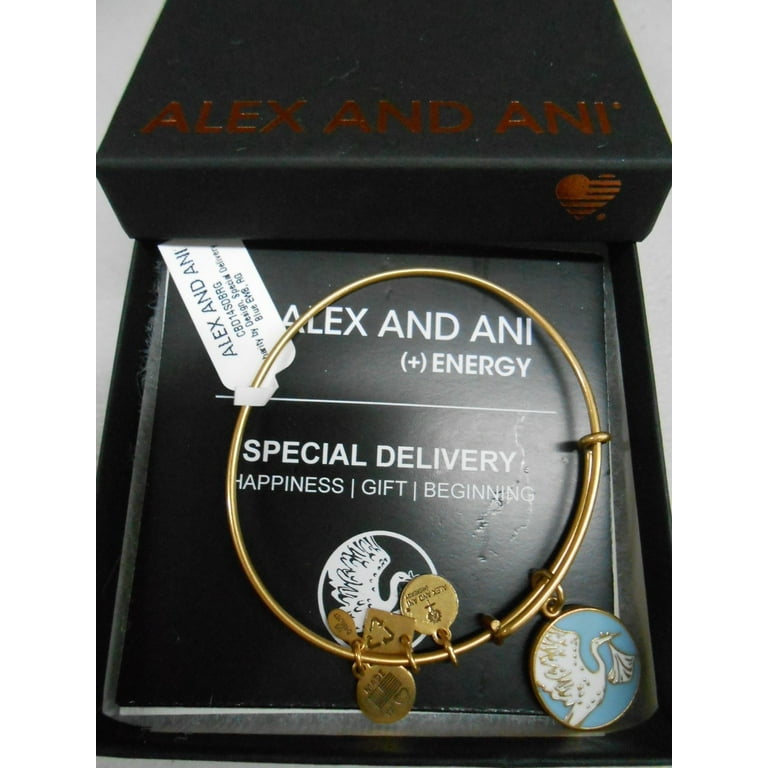 Alex and ani special delivery clearance bracelet