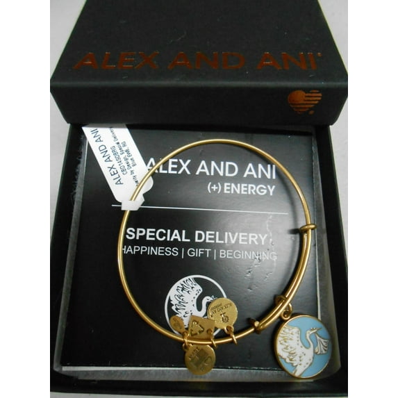 Alex And Ani Blue Special Delivery Charm Bangle Bracelet CBD14SDBRG