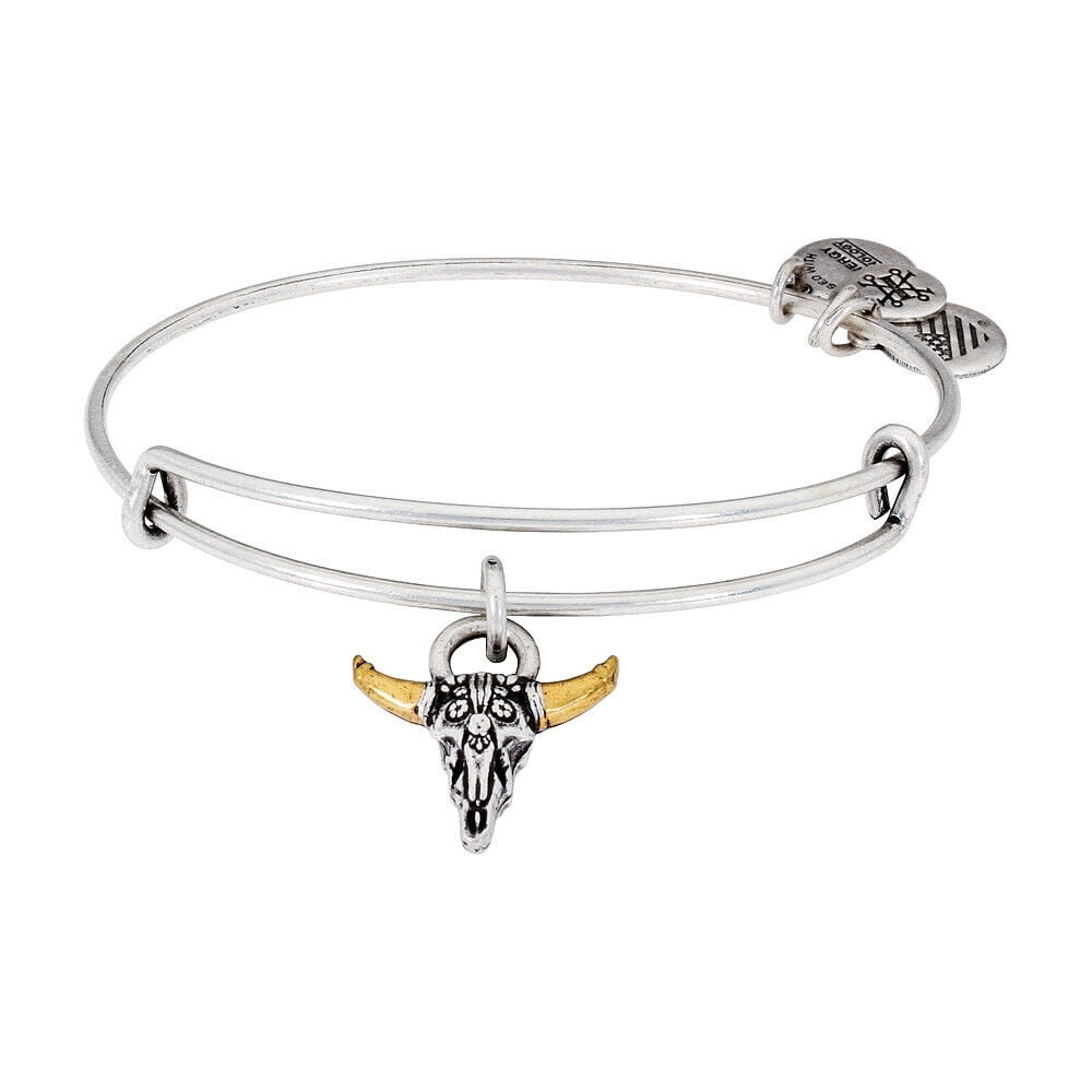 Alex and ani skull best sale bracelet