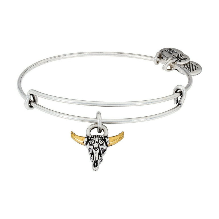 Alex And Ani Spirited Skull Charm Bangle Rafaelian Silver Finish