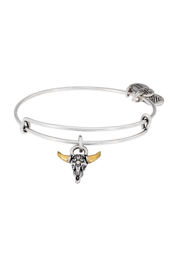 Spirited Skull Charm Bangle Rafaelian Silver Finish A17EBSPSRS