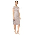 thumbnail image 1 of Alex Evenings Short Embroidered Cap Sleeve Dress (Womens, Rose, 6), 1 of 2
