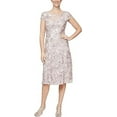 thumbnail image 1 of Alex Evenings by Alex Evenings Petite A-Line Round Neck Short Sleeve Lace Dress, Women's, 1 of 2