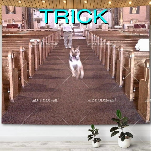 Alex G Trick Album Cover Tapestry Wall Art Posters Aesthetic Bedroom Decorative Print Tapestrys Macrame Farbic Tapestry For Room