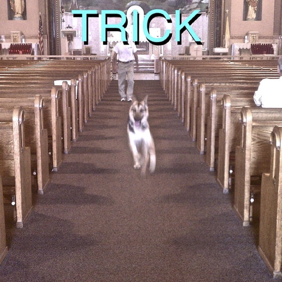 Alex G - Trick - Music & Performance - Vinyl