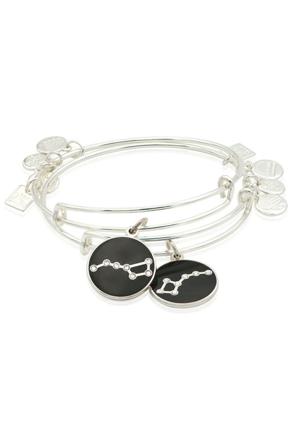Big and Little Dipper Set of 2 Charm Bangle Bracelets - Shiny Silver Finish