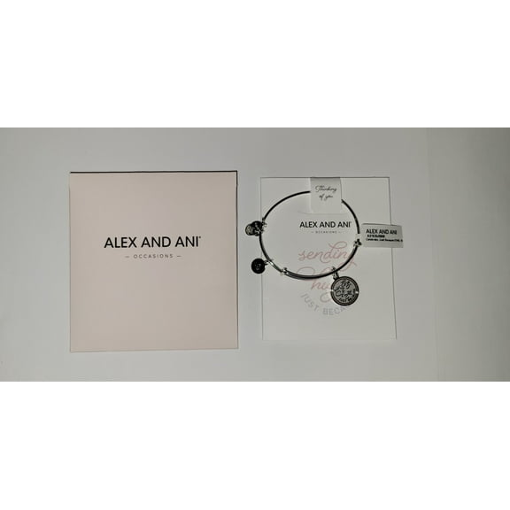 Alex and Ani Celebrate, Just Because EWB, Shiny Silver One Size Bracelet