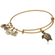 Alex and Ani Charity By Design Turtle Rafaelian Gold Bangle Bracelet
