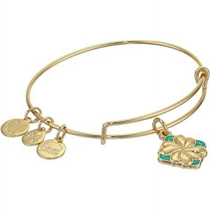 Alex and Ani Fall in Love Color Infusion Charm Bangle Bracelet - Shiny Gold  Finish