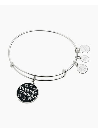 Alex and ani discount meow color infusion bracelet
