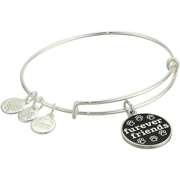 Alex and Ani Color Infusion, Furever Friends Bangle Bracelet Shiny Silver One Size