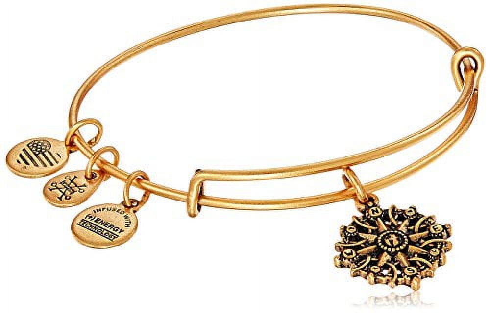 Alex and Ani Compass Charm Bangle
