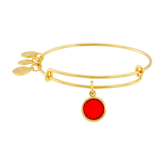 Alex and Ani Crystal Birthstone July Ruby Yellow Gold Cubic-Zirconia Charm Bracelet - 8