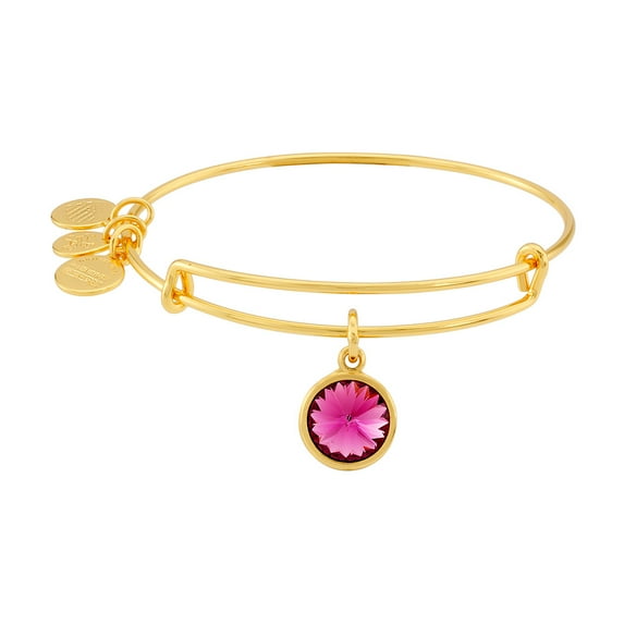 Alex and Ani February Birthstone Charm Adjustable Wire Bangle Bracelet