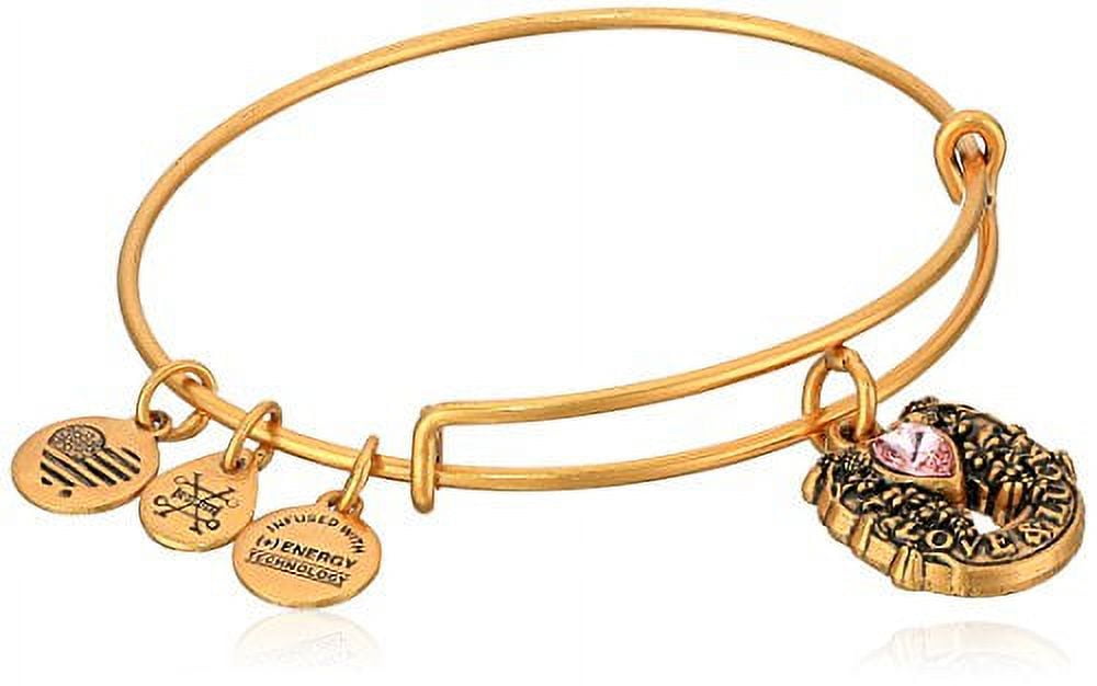 Alex and ani horseshoe on sale bracelet