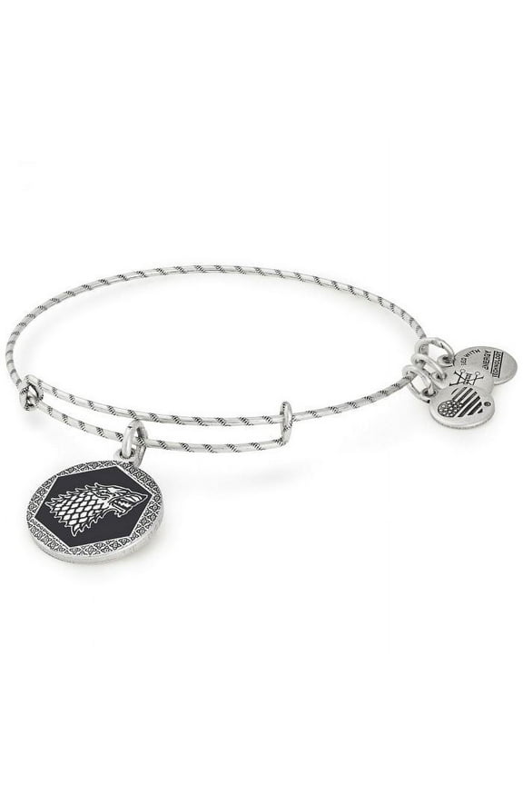 GAME OF THRONES Winter is Coming Charm Bangle Bracelet - Rafaelian Silver Finish