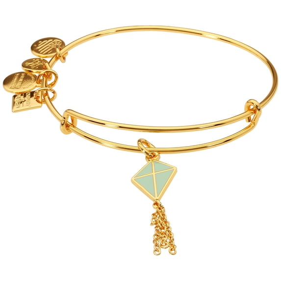 Alex and Ani Green Inspiration in Flight Flying Kites Charm Bangle
