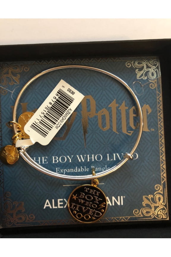 Harry Potter The Boy Who Lived Two Tone Charm Bangle New with Box