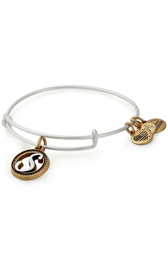 Initial S Two-Tone Charm Bangle Bracelet - Rafaelian Gold and Silver Finish - A18EBINT19TTRS