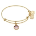 thumbnail image 1 of Alex and Ani June Color Code Amethyst Bangle Bracelet Shiny Gold NWTBC, 1 of 1