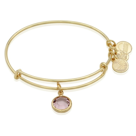 Alex and Ani June Color Code Amethyst Bangle Bracelet Shiny Gold NWTBC