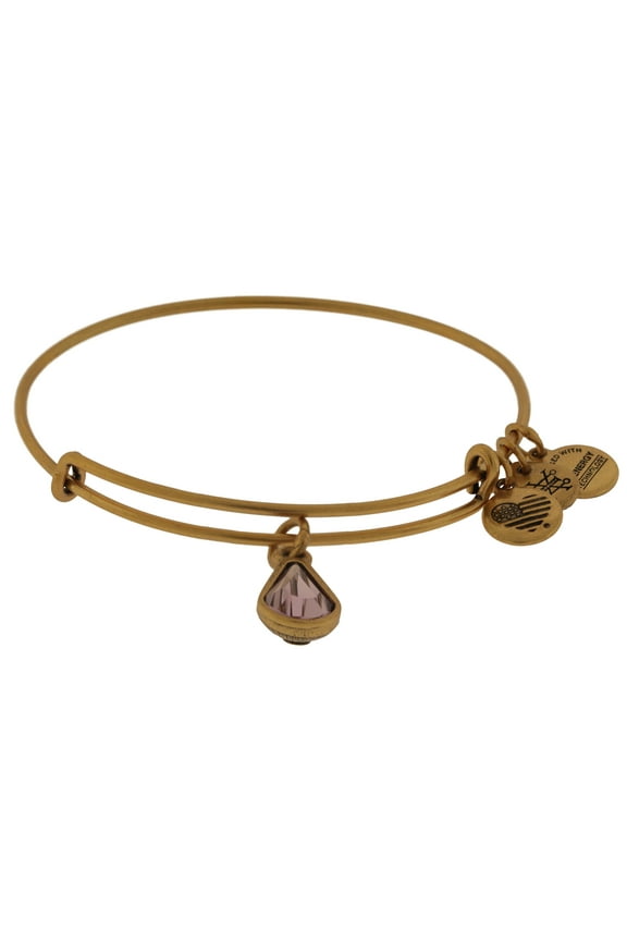 June Drop Charm Bangle Bracelet - Rafaelian Gold - A17EB45RG