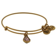 Alex and Ani June Drop Charm Bangle Bracelet - Rafaelian Gold - A17EB45RG