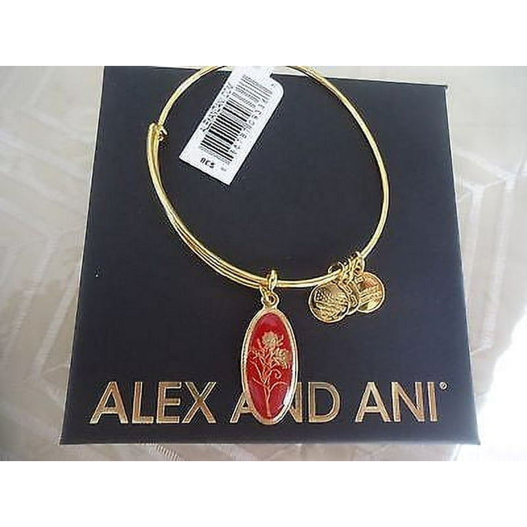 Alex and ani love potion bracelet online