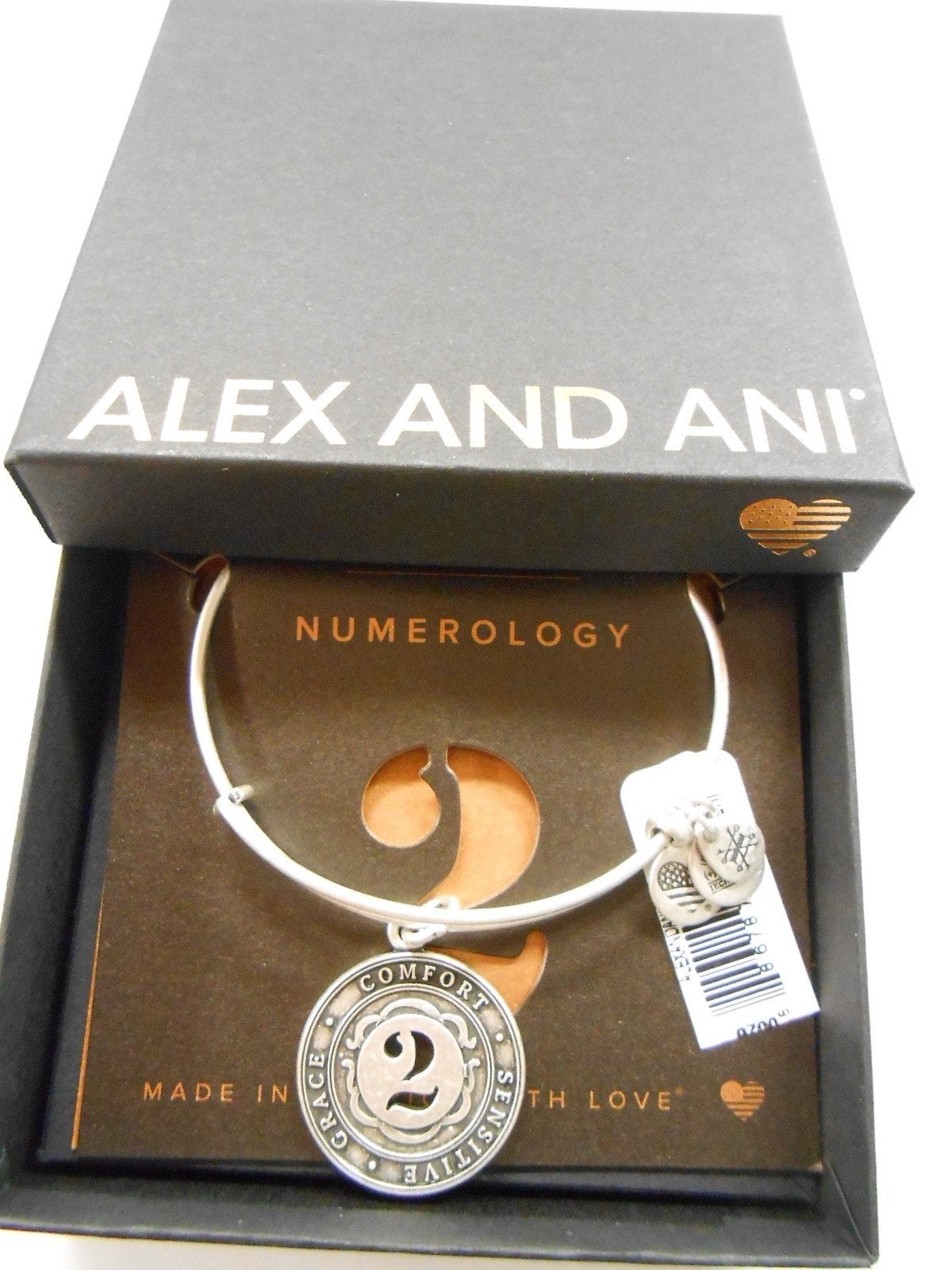Alex and Ani Number 2 Charm Bangle