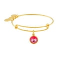 thumbnail image 1 of Alex and Ani October Birthstone Charm Bangle Bracelet - A09EB249G, 1 of 3