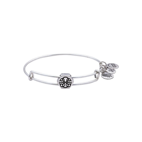 Alex and Ani PATH OF LIFE Bead Charm Bangle Bracelet - Rafaelian Silver