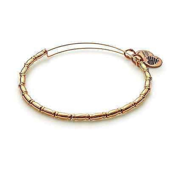 Alex and Ani Reed Beaded Bangle