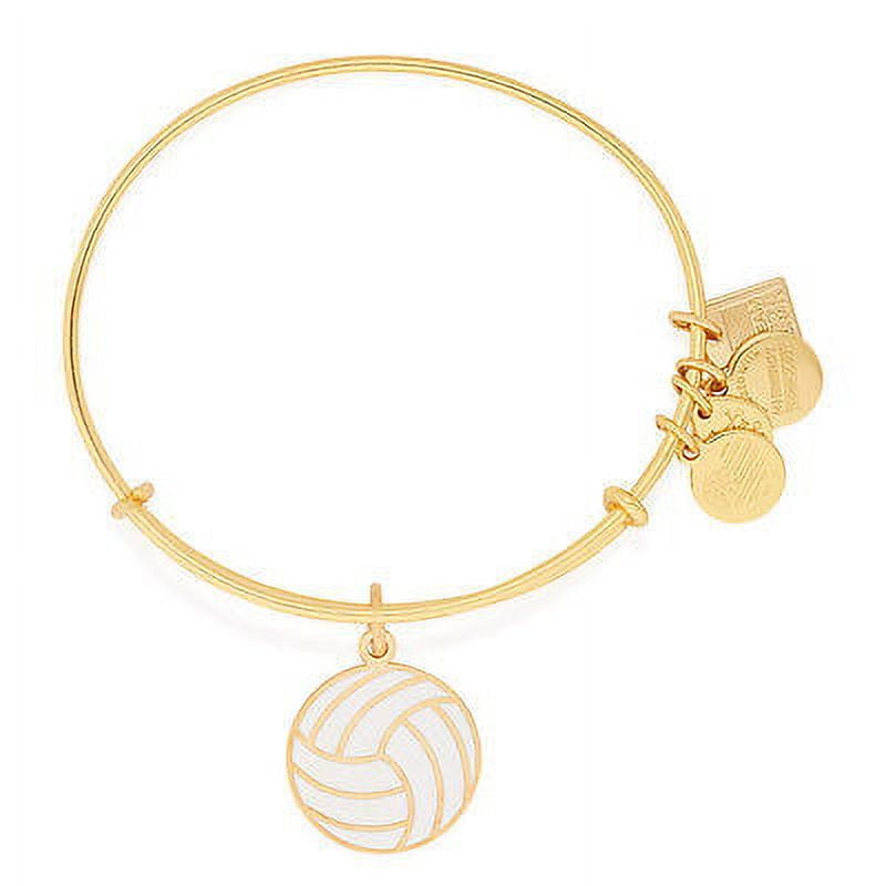 Alex and Ani Team USA Volleyball Charm Bangle