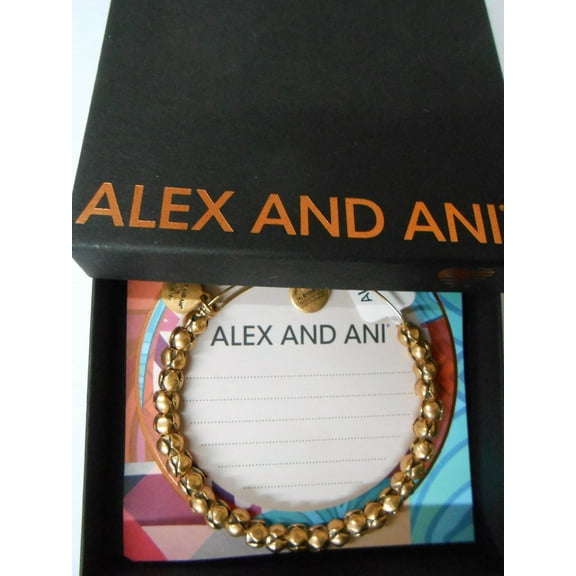 Alex and Ani Traveler Bracelet
