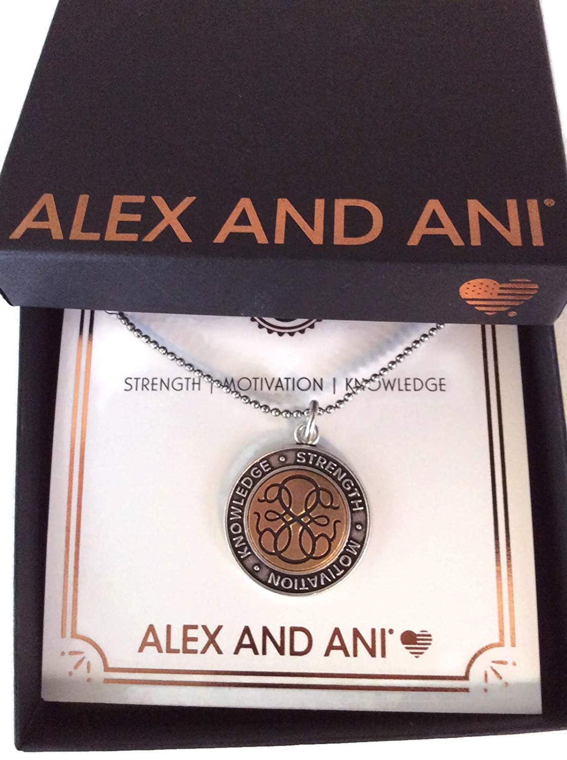 Alex and ani discount path of symbols necklace