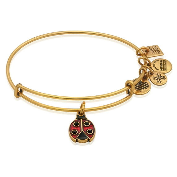 Alex and Ani Women's Charity by Design Ladybug II Bangle Bracelet Rafaelian Gold One Size
