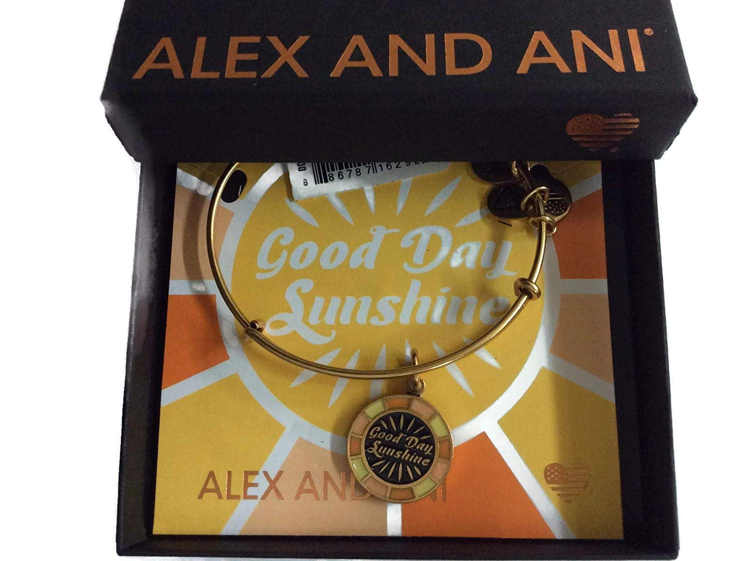 You are my sunshine deals bracelet alex and ani