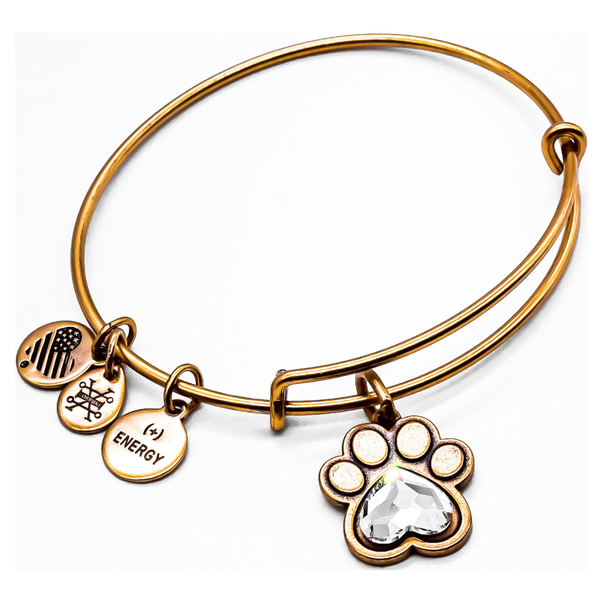 Alex and ani top dog print bracelet