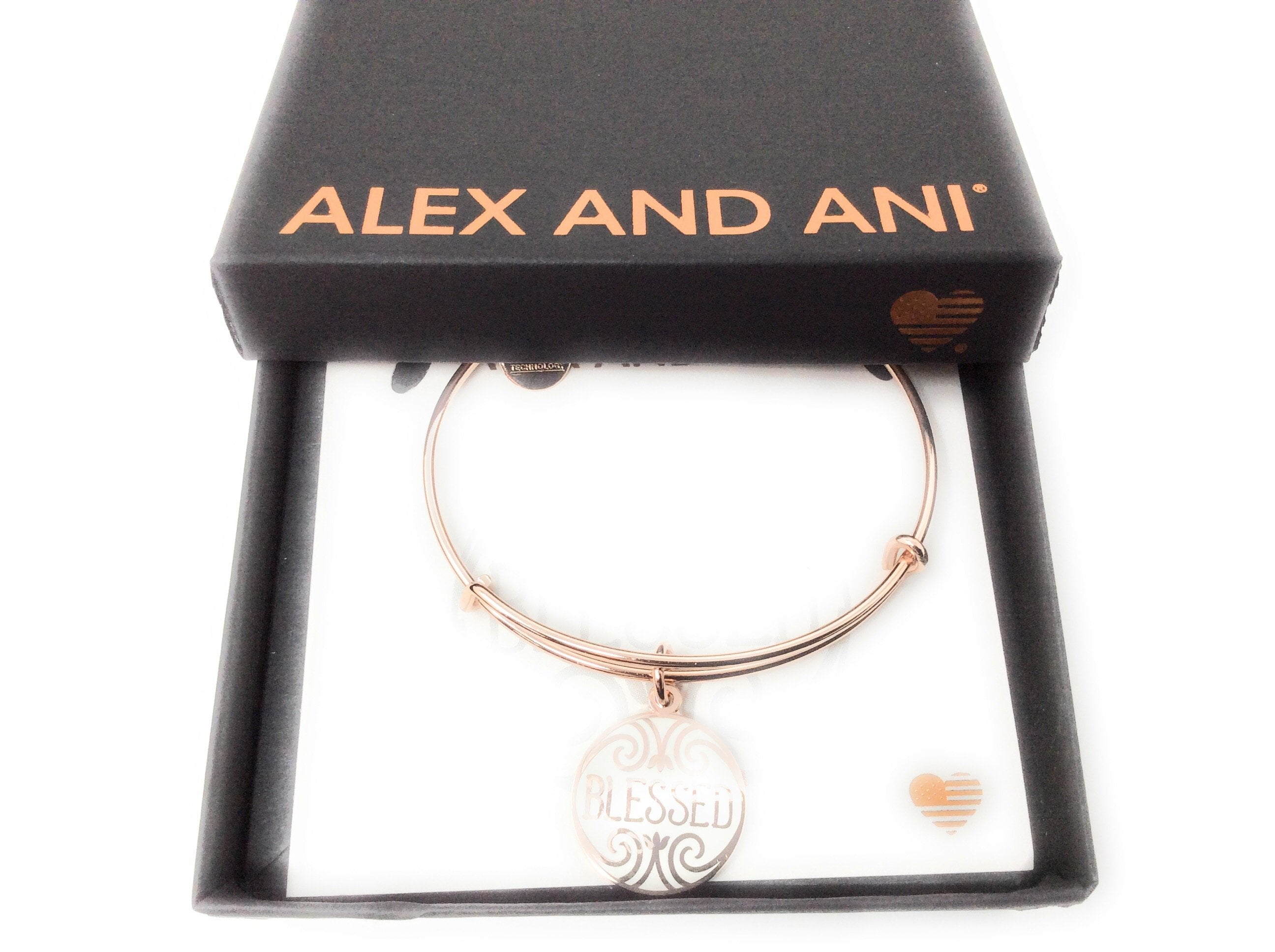 Alex and ani store blessed bracelet