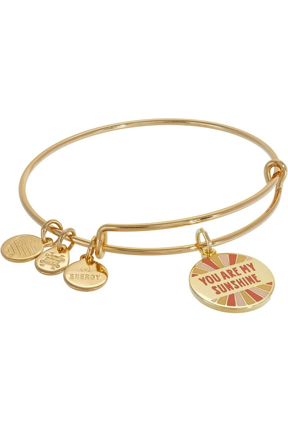 Words are Powerful, You Are My Sunshine Expandable Wire Bracelet, Shiny Silver