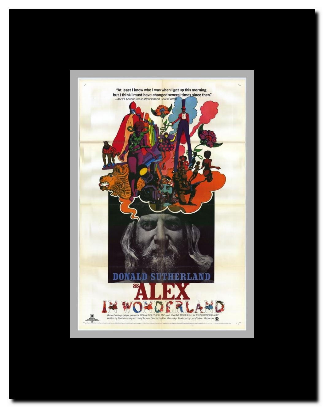 Alex in Wonderland Framed Movie Poster