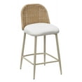 thumbnail image 1 of Alexa Cream Outdoor Counter Stool, 1 of 5