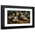thumbnail image 1 of Alexander Koester 24x16 Black Modern Framed Museum Art Print Titled - Ducks in Sunlight, 1 of 1