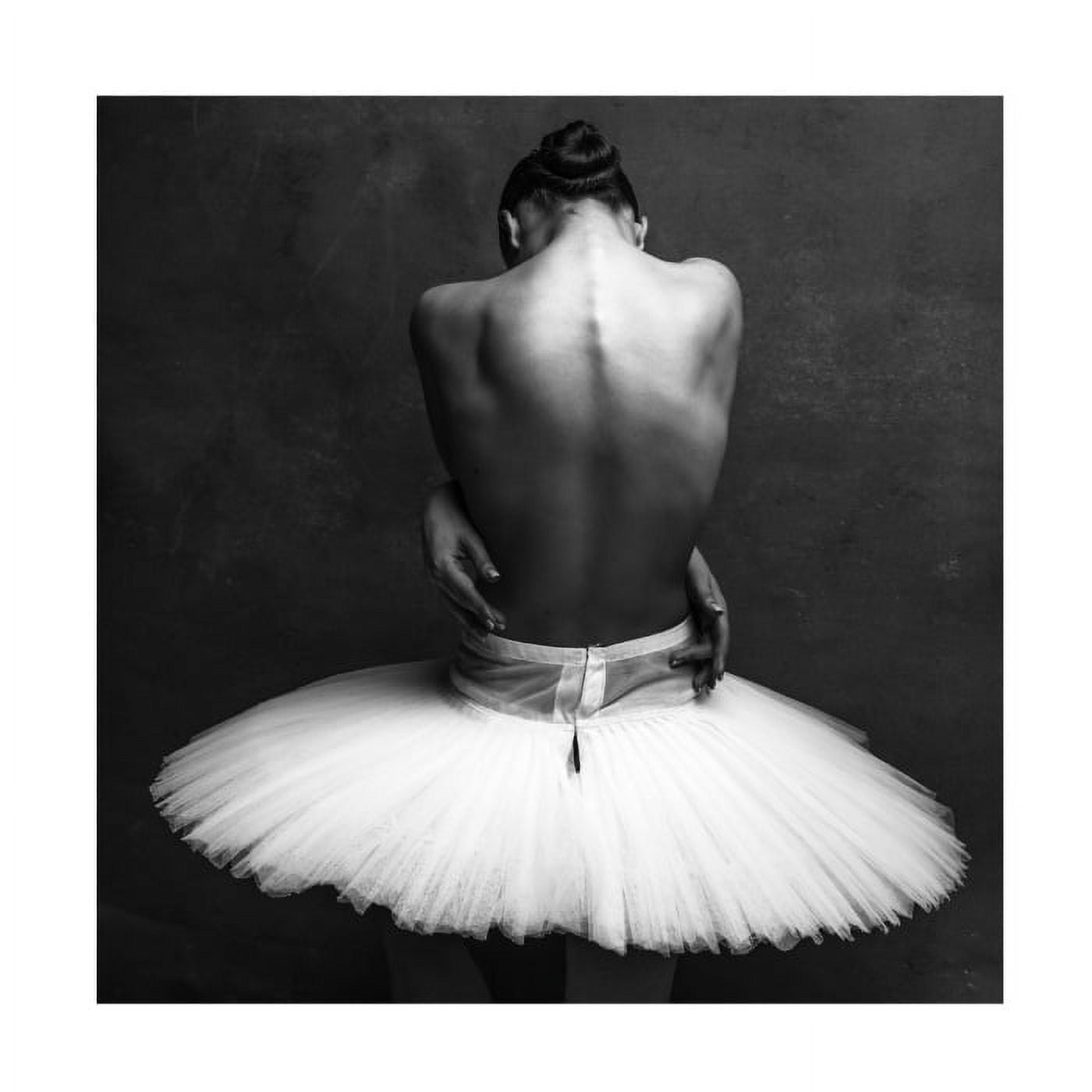 Alexander Yakovlev 'ballerinas back 2' Canvas Art