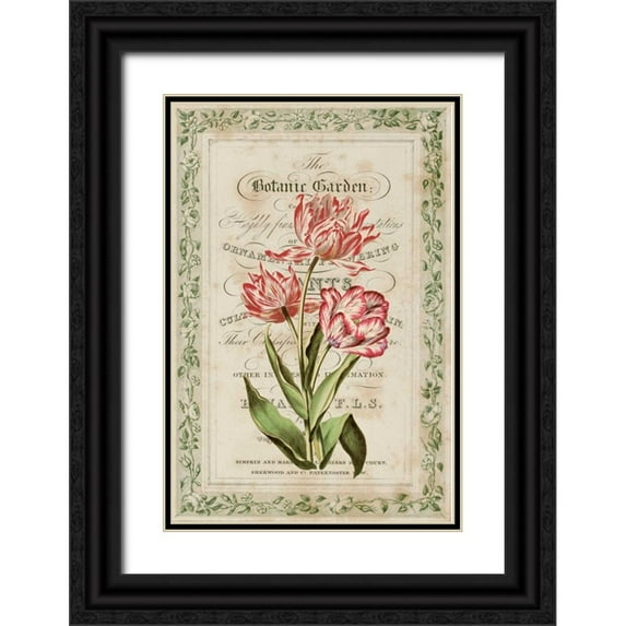 Alexander, Zachary 11x14 Black Ornate Wood Framed with Double Matting Museum Art Print Titled - Botanic Garden