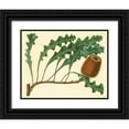 thumbnail image 1 of Alexander, Zachary 14x12 Black Ornate Wood Framed with Double Matting Museum Art Print Titled - Palmetto I, 1 of 4